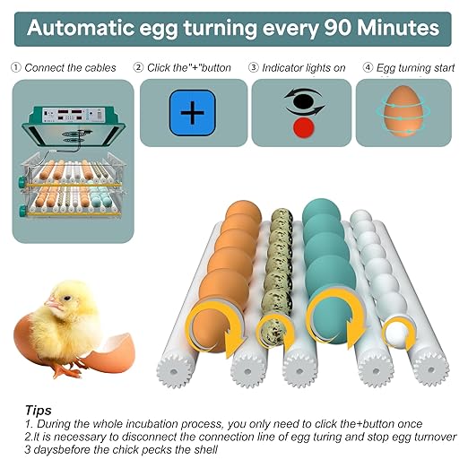 Egg Incubator, Egg Incubator with Automatic Egg Turning and Humidity Monitoring, Incubator for Chicken Eggs, 120 Eggs Incubator with Egg Candler, for Duck Eggs Quail Eggs, Record incubation day