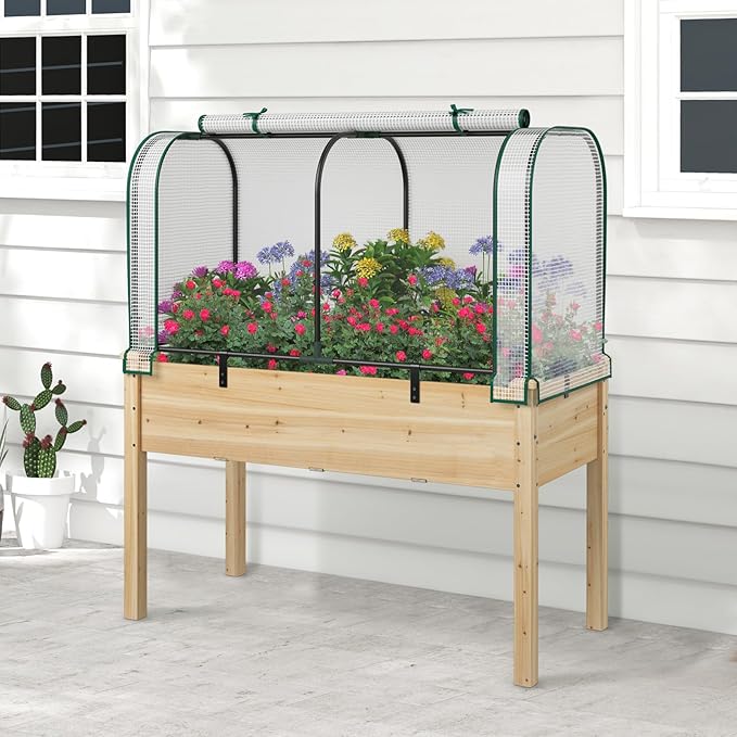 Raised Garden Bed with Greenhouse, Waterproof Sun-Protective Green House with Roll-Up Door & Electroplated Metal Frame, Pine Wood Elevated Planter Box with Drainage Holes(White+Natural)