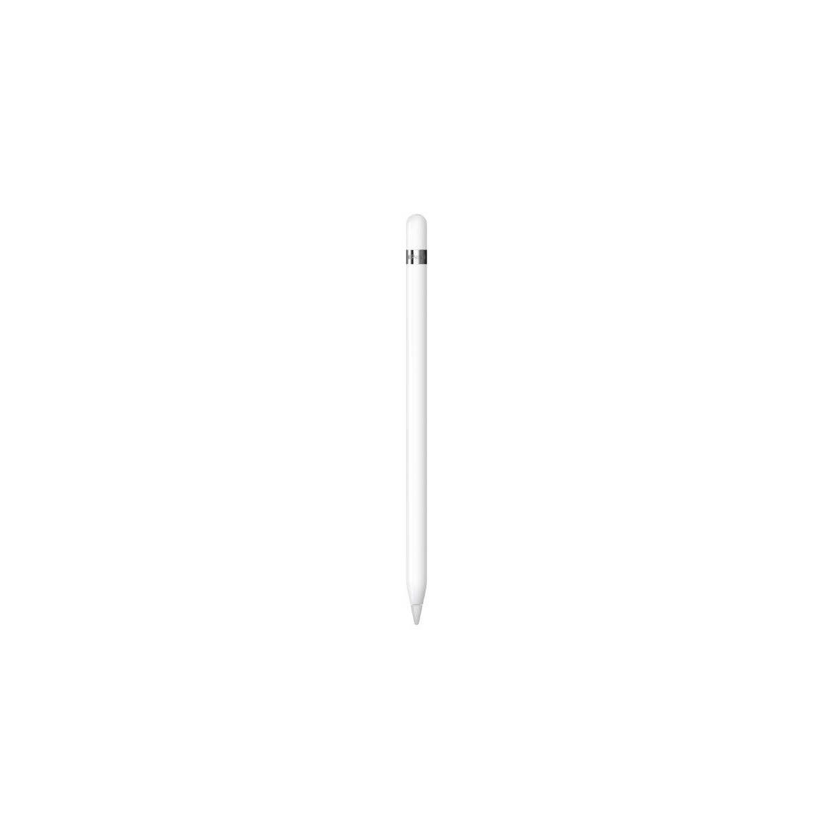 Apple Pencil with USB-C Adapter (2022, 1st Generation)