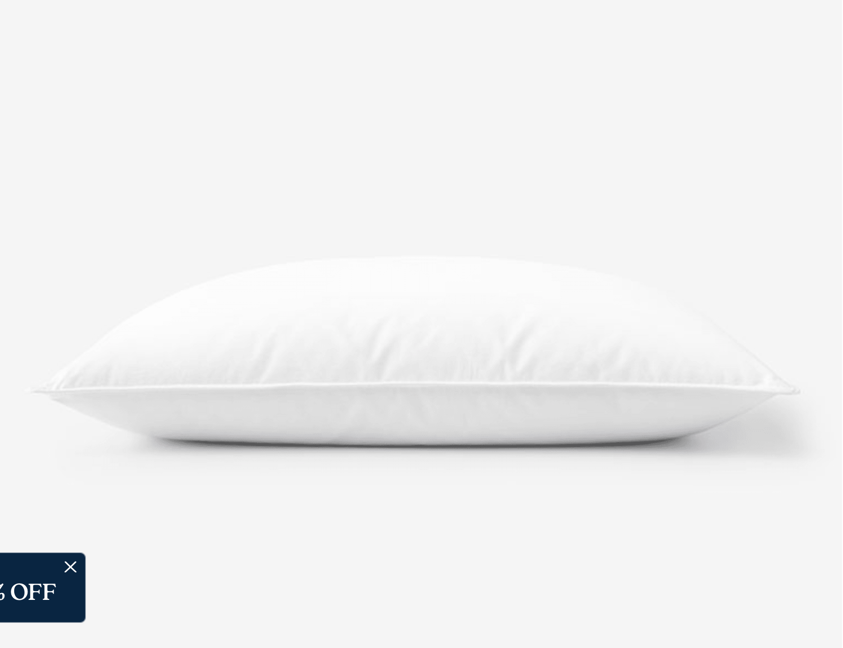 Company Essentials™ Better Down and Feather Firm Pillow - Queen, White