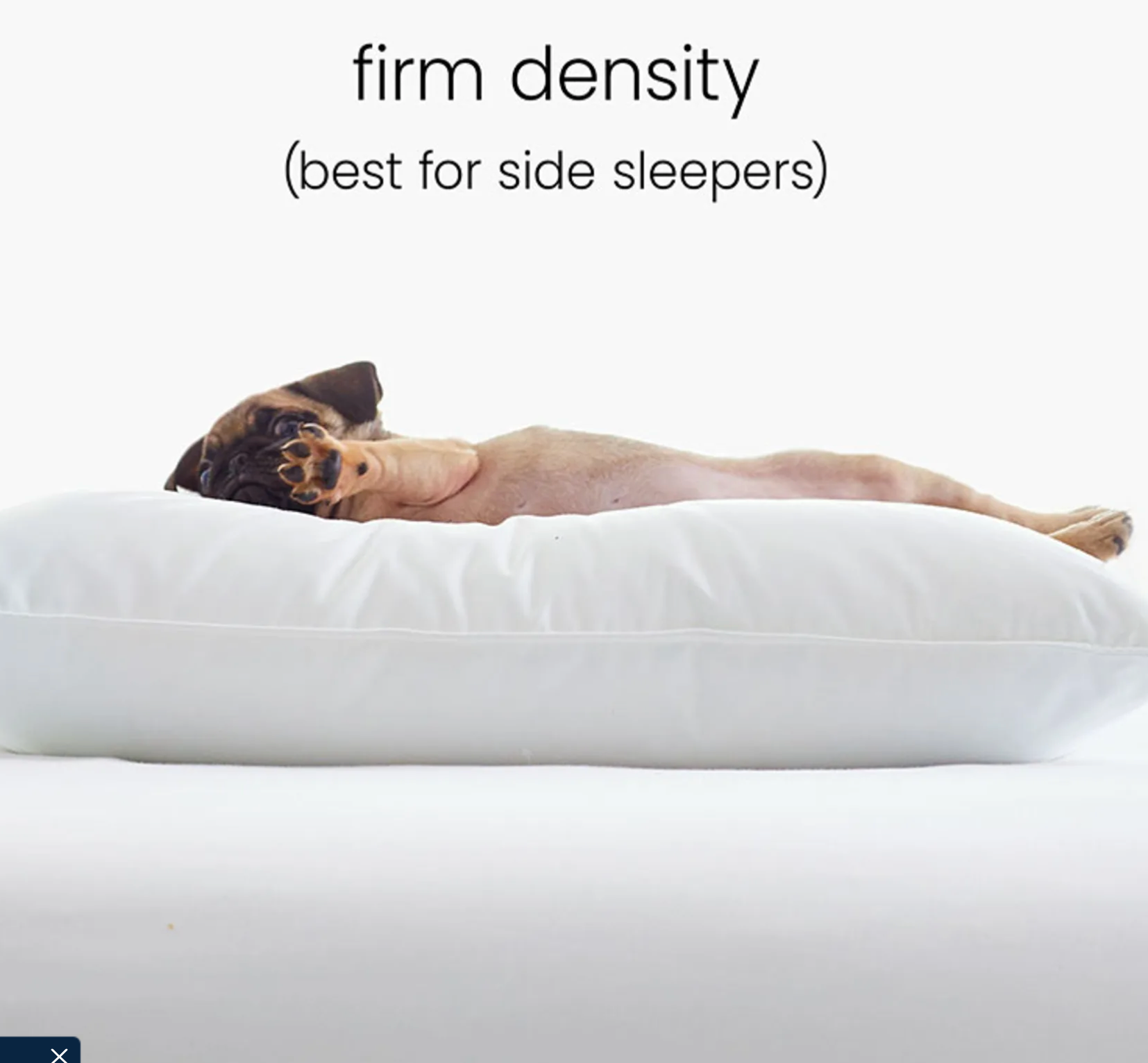 Legends Hotel™ Alberta Down Alternative Firm Side Sleeper Pillow - Queen