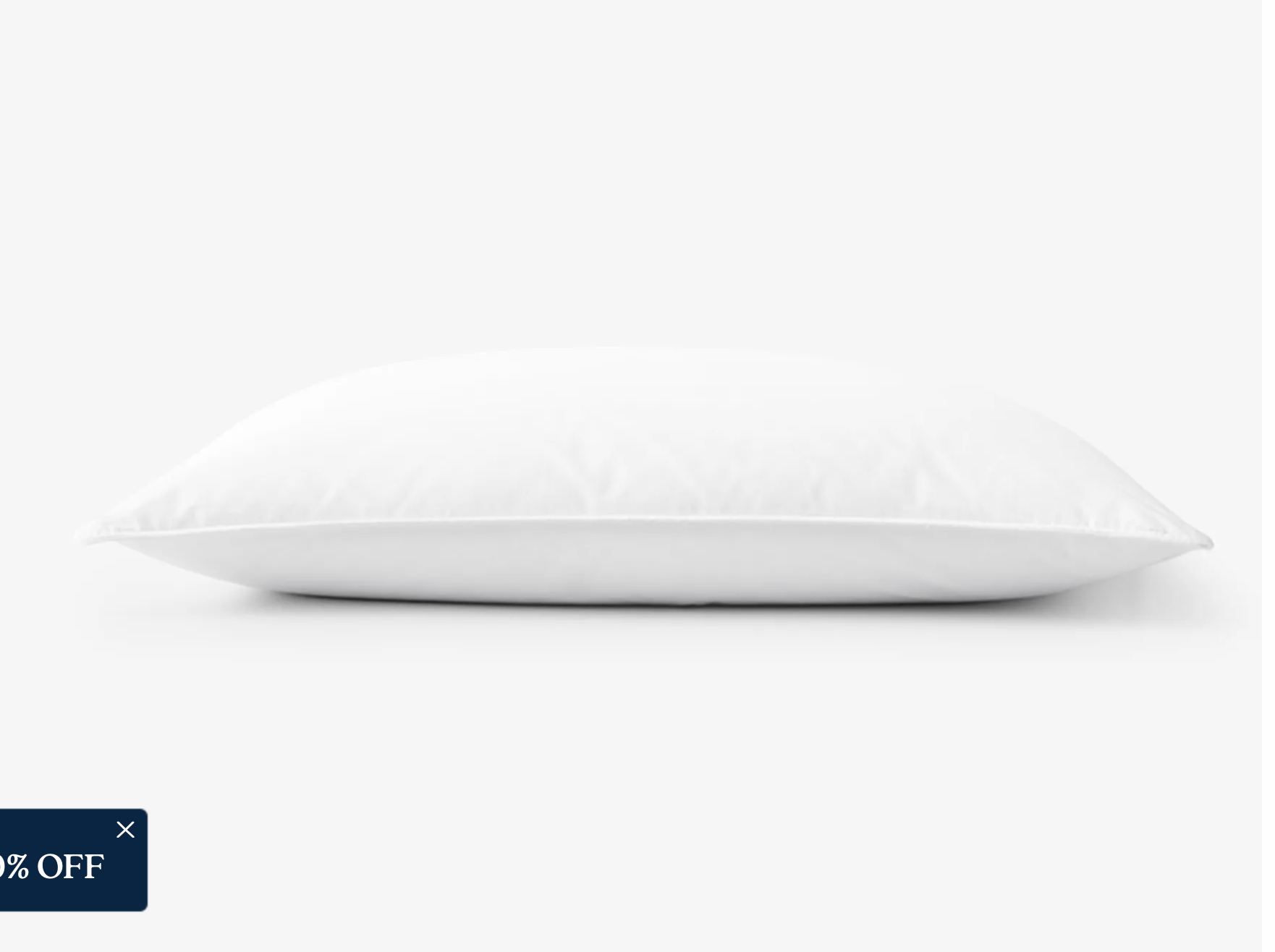 Company Essentials™ Better Down and Feather Extra Firm Pillow - King, White