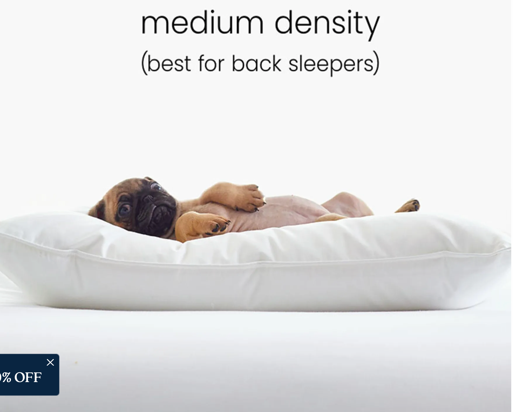 Primaloft down alternative pillow hot sale