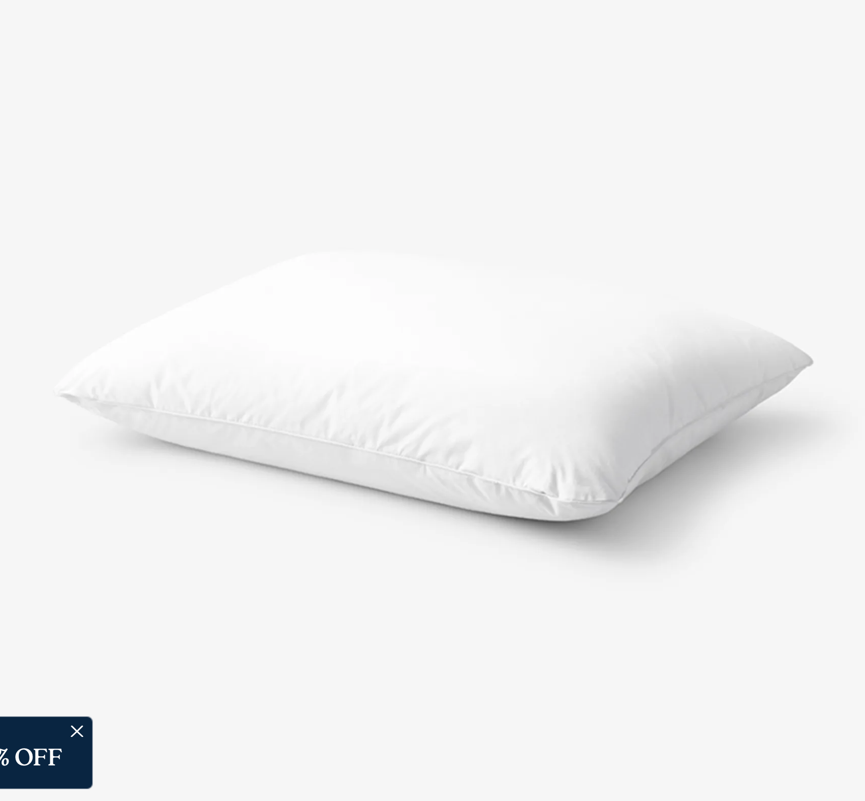 LaCrosse™ LoftAIRE™ Down Alternative Dual Chamber Pillow - White, King