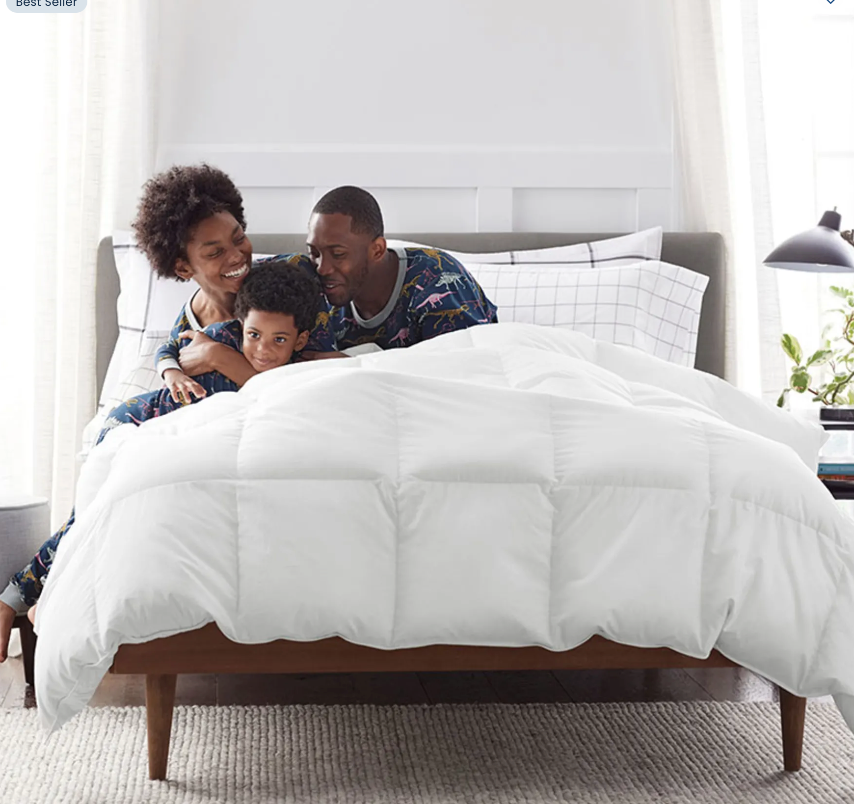 Legends Hotel™ Premium Alberta Down Light Warmth Comforter - White, Queen